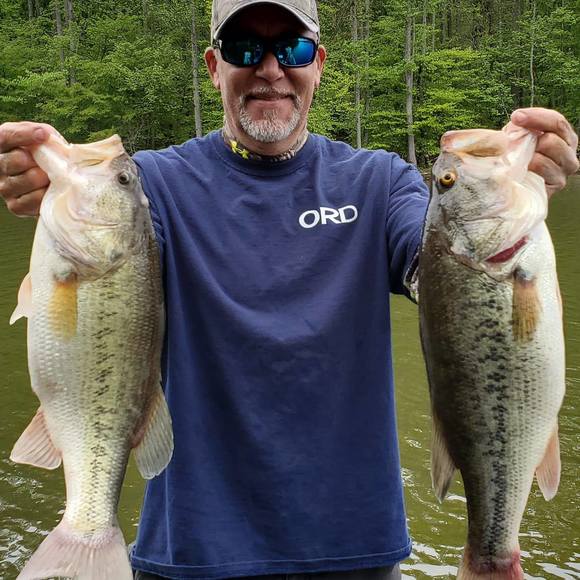 Meet your Posher, Brad - Picture 1 of 1